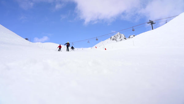 ❄️ VINTERKLAR? Skibriller til 799 kr ❄️